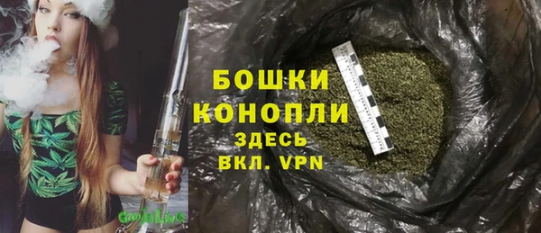 МДПВ Гусев