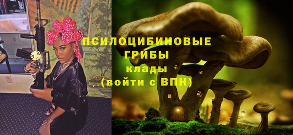 синтетический гашиш Гусь-Хрустальный