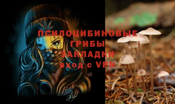 МДПВ Гусев
