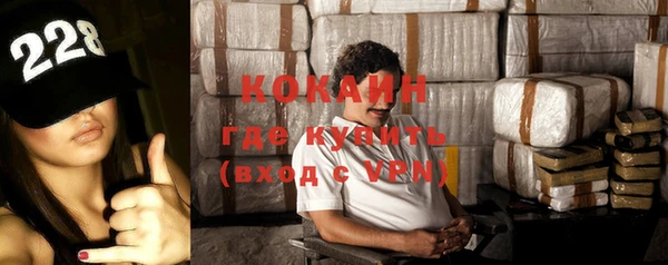 МДПВ Гусев