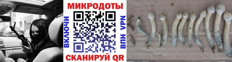 Псилоцибиновые грибы ЛСД  Кочубеевское 